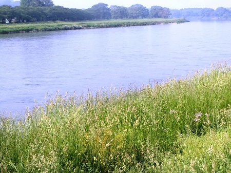 北上川の流れ.jpg